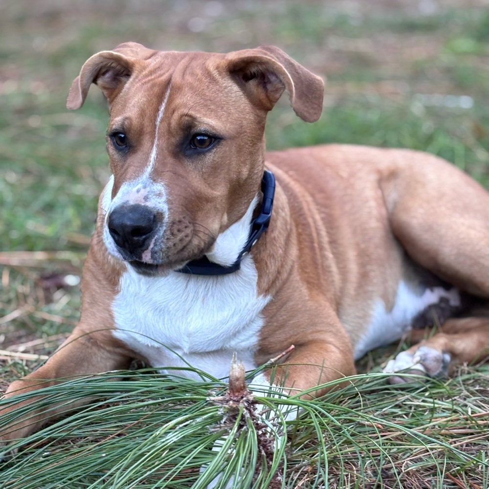 Meet your Posher, Tara